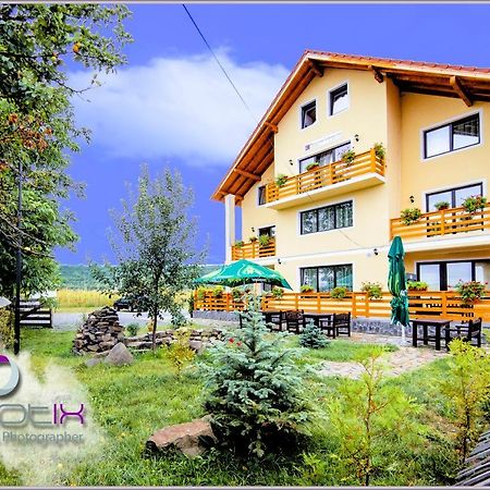 Camves Inn Sighetu Marmaţiei Buitenkant foto